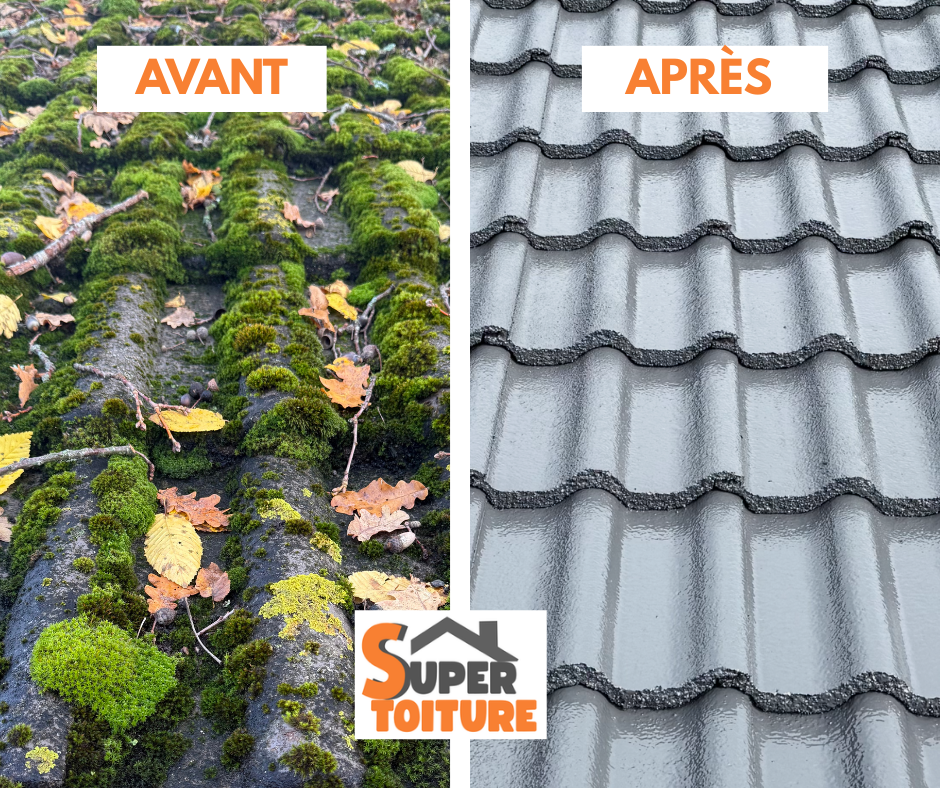 Avant / après démoussage et hydrofuge de tuiles